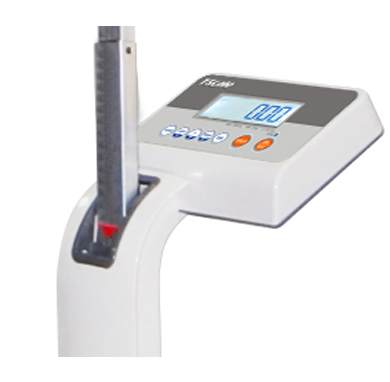 Metra BMI, Weight and Height Scale - TCS-GYM Supplier in Dubai, Abu Dhabi,  Sharjah - Petra - UAE Weighing Equipment Division